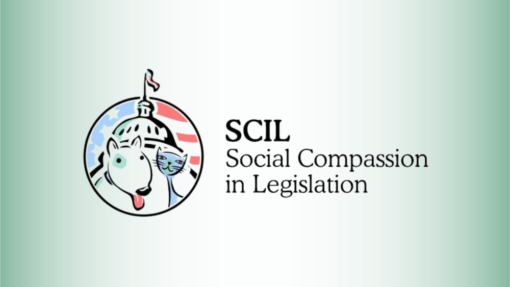 social compassion in legislation logo