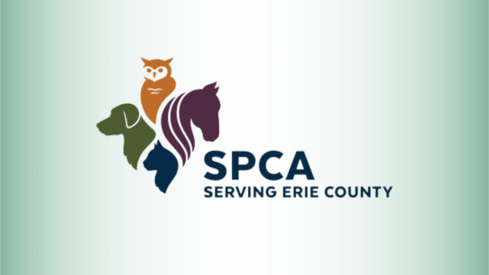 Spca logo