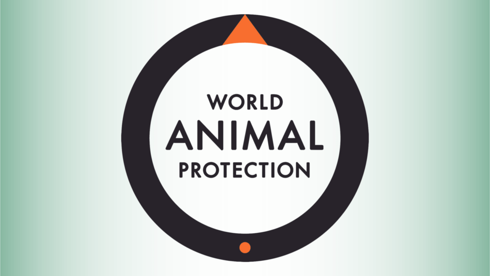 World animal protection logo
