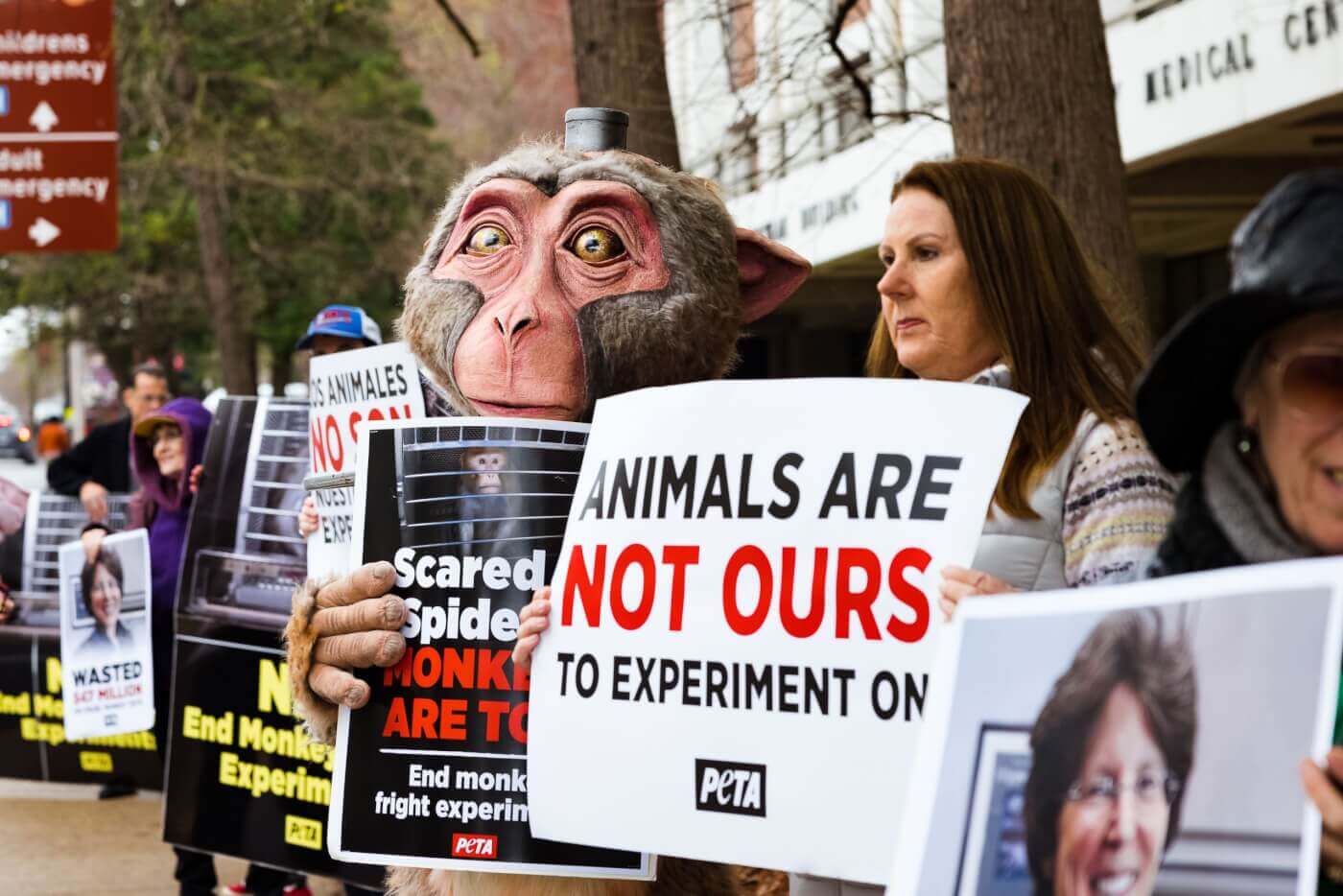 Demonstrators hold up signs protesting Elizabeth Murray's NIH experiments