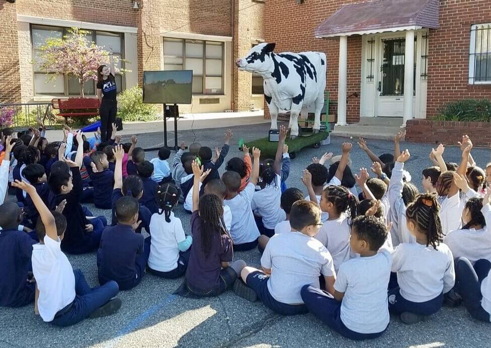 Carly the cow with a group of students