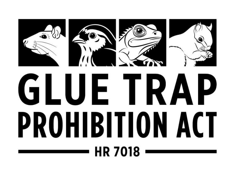 glue trap prohibition act logo