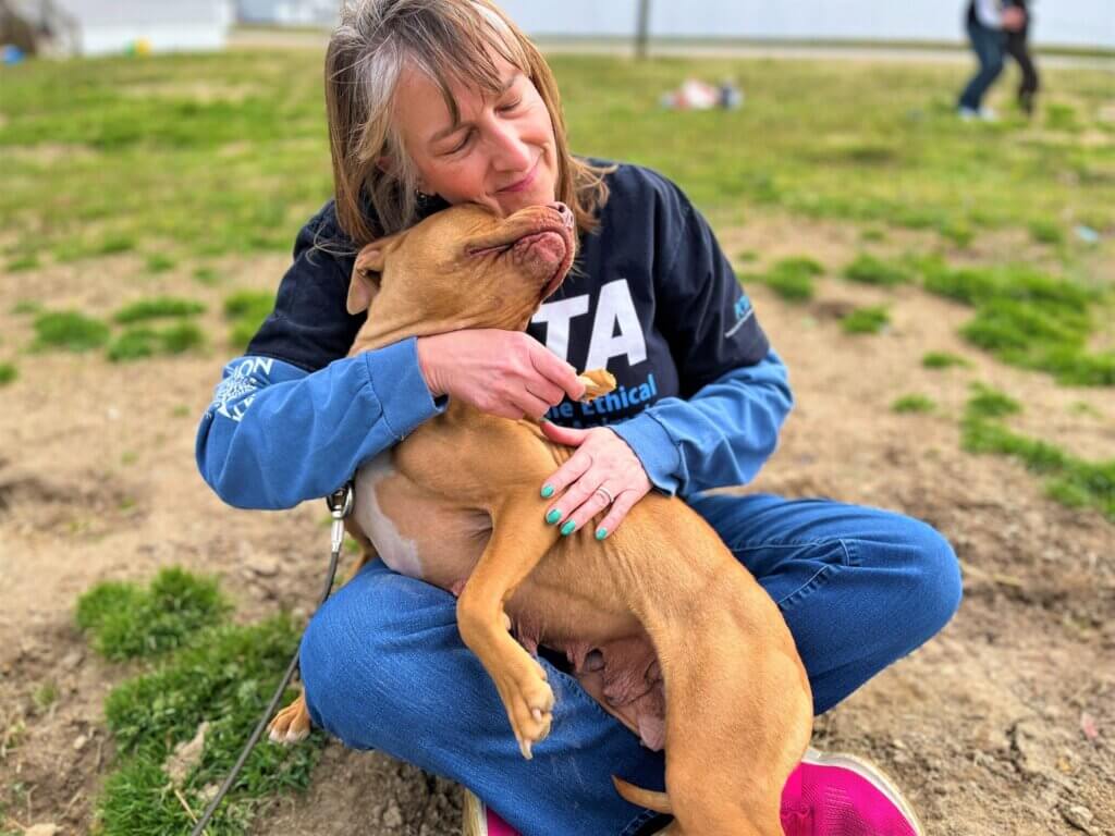 PETA field worker giving love to a chained 'backyard dog'.