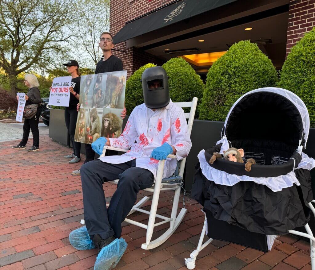 Demonstrators holding signs, one in a mask sitting in a rocking chair