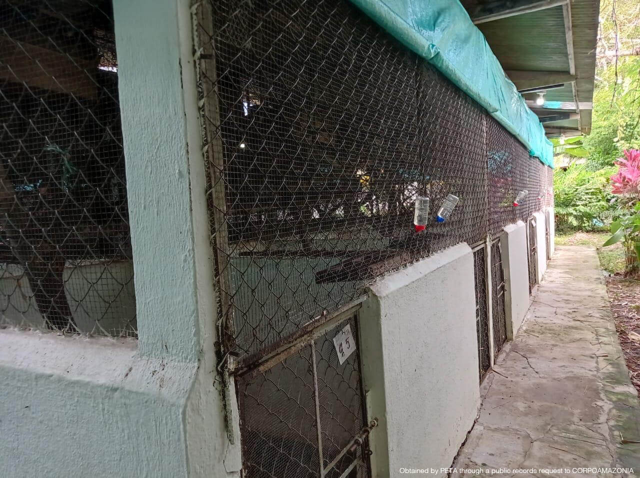 A photo showing outdoor cages with rusty metal mesh