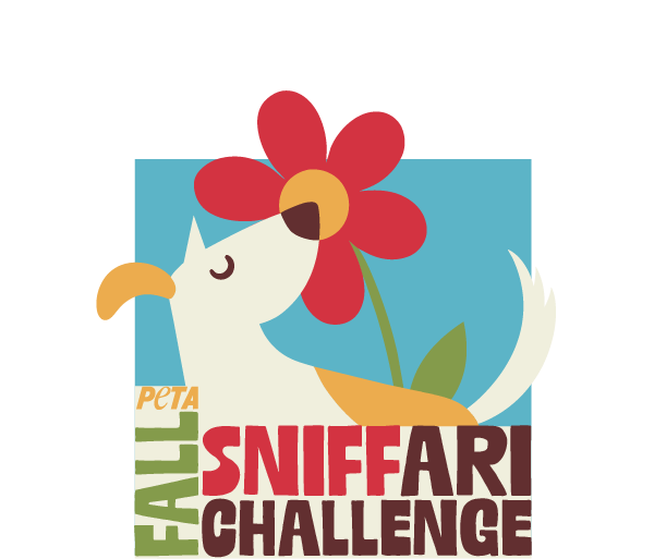 PETA Fall Sniffari Challenge logo, featuring a tan and white dog sniffing a flower