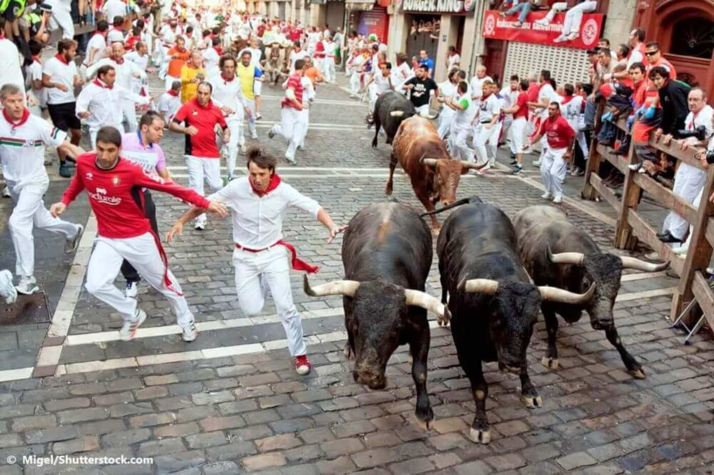 A group of men and three bulls running down a street