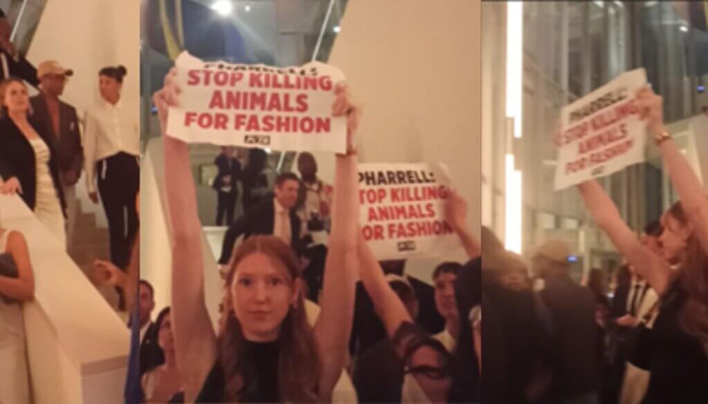 protester holds up "stop killing animals for fashin" sign