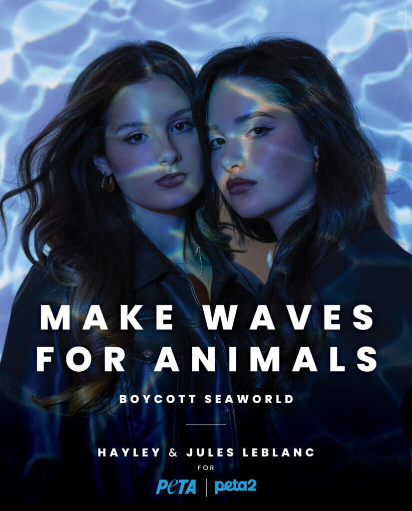 Ad with tagline Make Waves for Animals