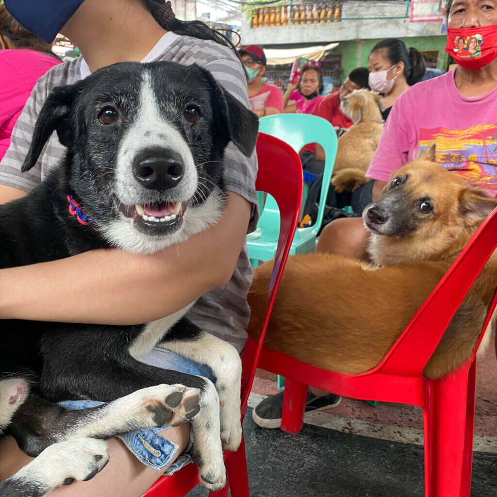 Caregivers holding their dogs