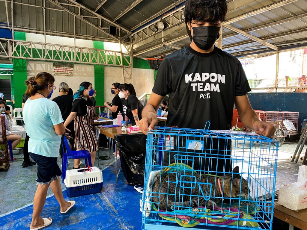 A volunteer carrying a cage with a cat