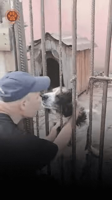 Man rescuing dog behind bars