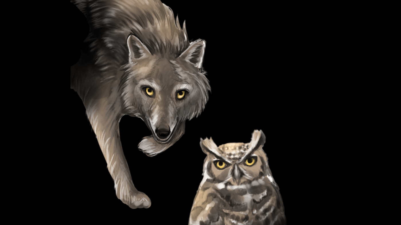 Wolf and owl illustration for PETA's Dungeons and Dragons Subclasses