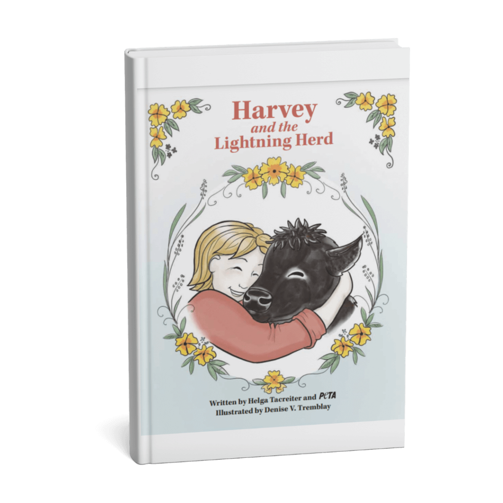 Harvey and the Lightning Herd- Front Cover Mock Up