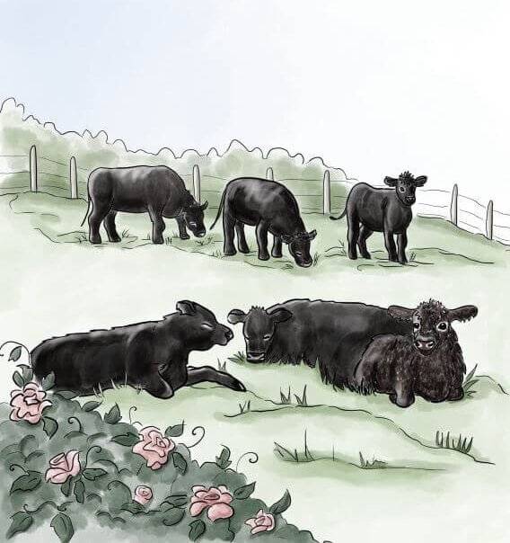 Harvey and the Lightning Herd-Illustration-Cows in a field