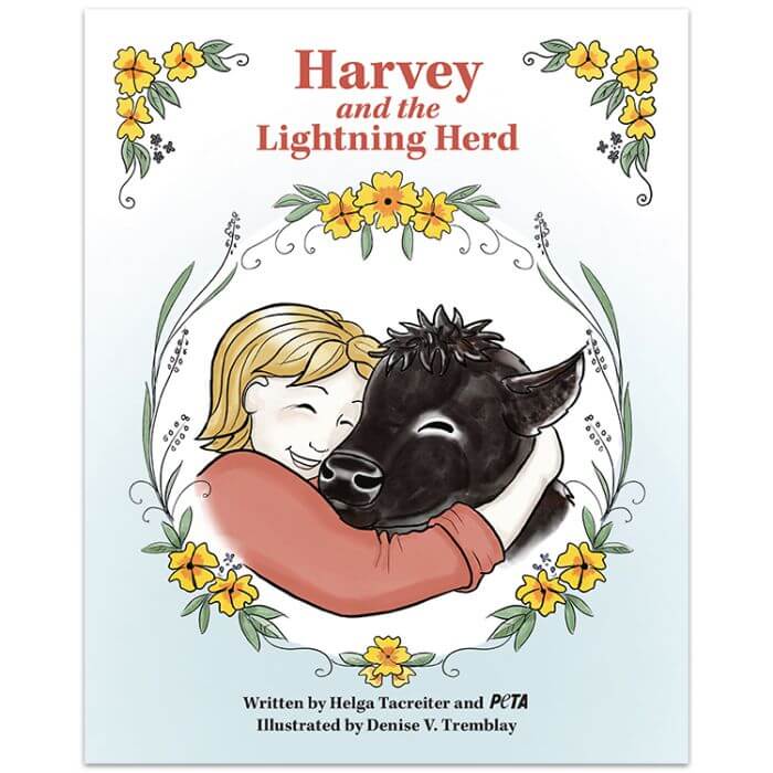 cover of Harvey and the lightning herd