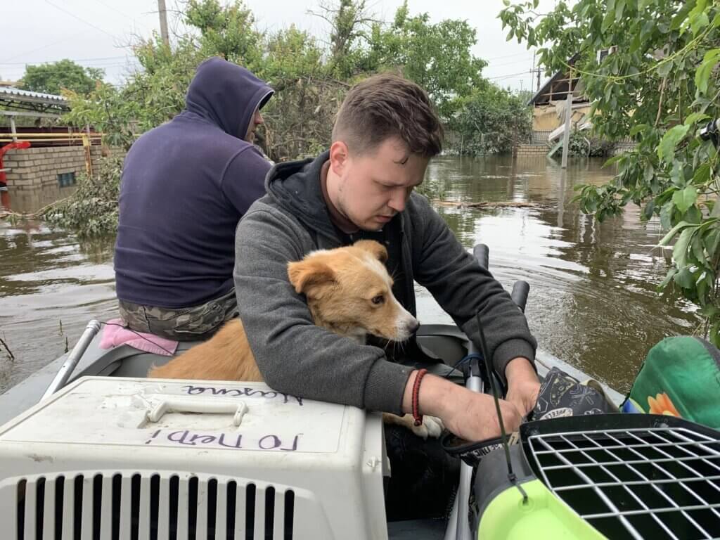 Man in a boat with carriers and a tan dog