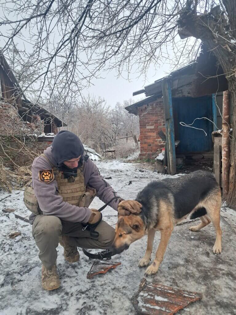 Igor helping a dog