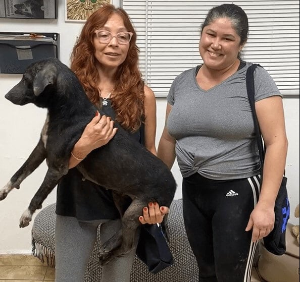 Two people with their companion dog