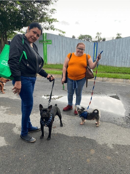 Two people with their small companion dogs