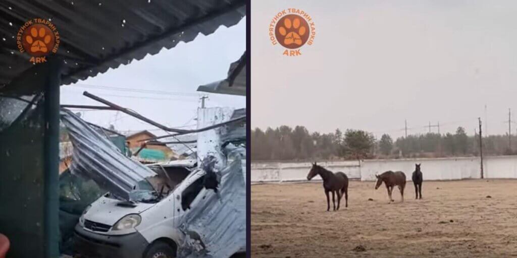 Crashed car and three horses in a field