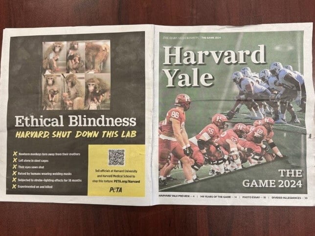 Photo of Harvard newsletter full page ad