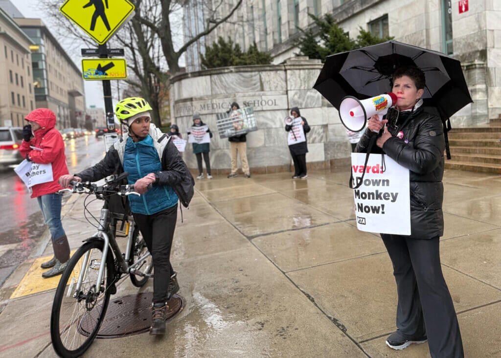 Demonstrator talking on a megaphone with a sandwich board sign