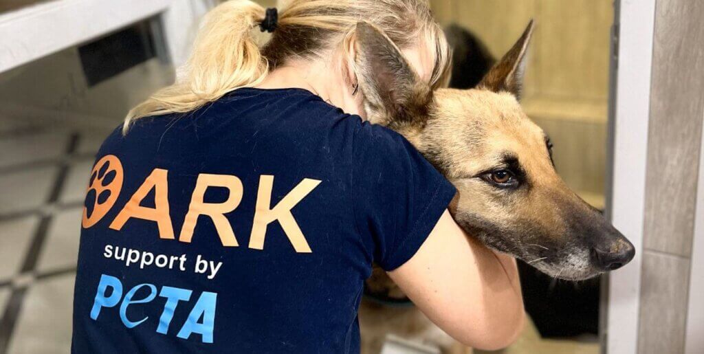 Volunteer hugging a dog