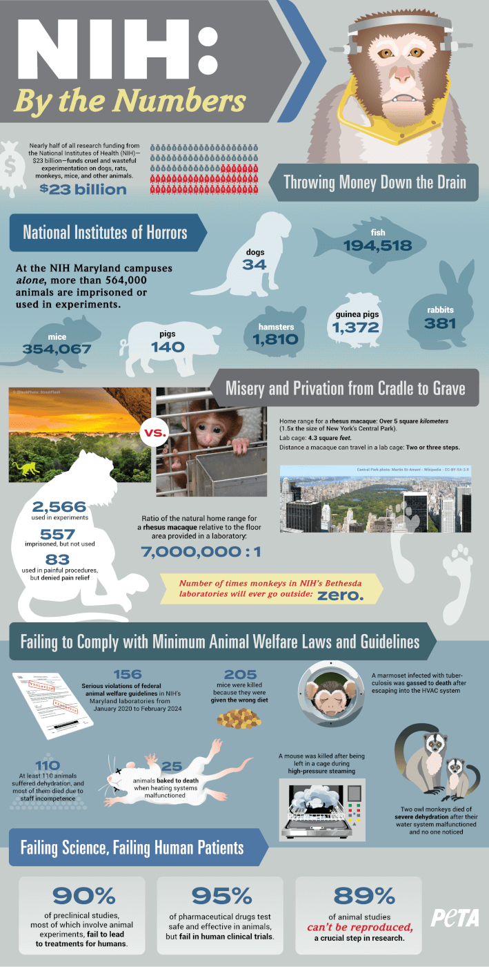 NIH: By the Numbers Infographic