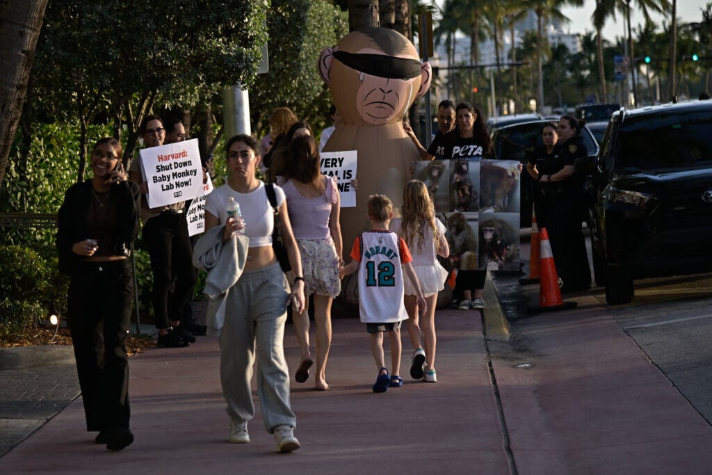 Demonstrators with an inflatable monkey and signs