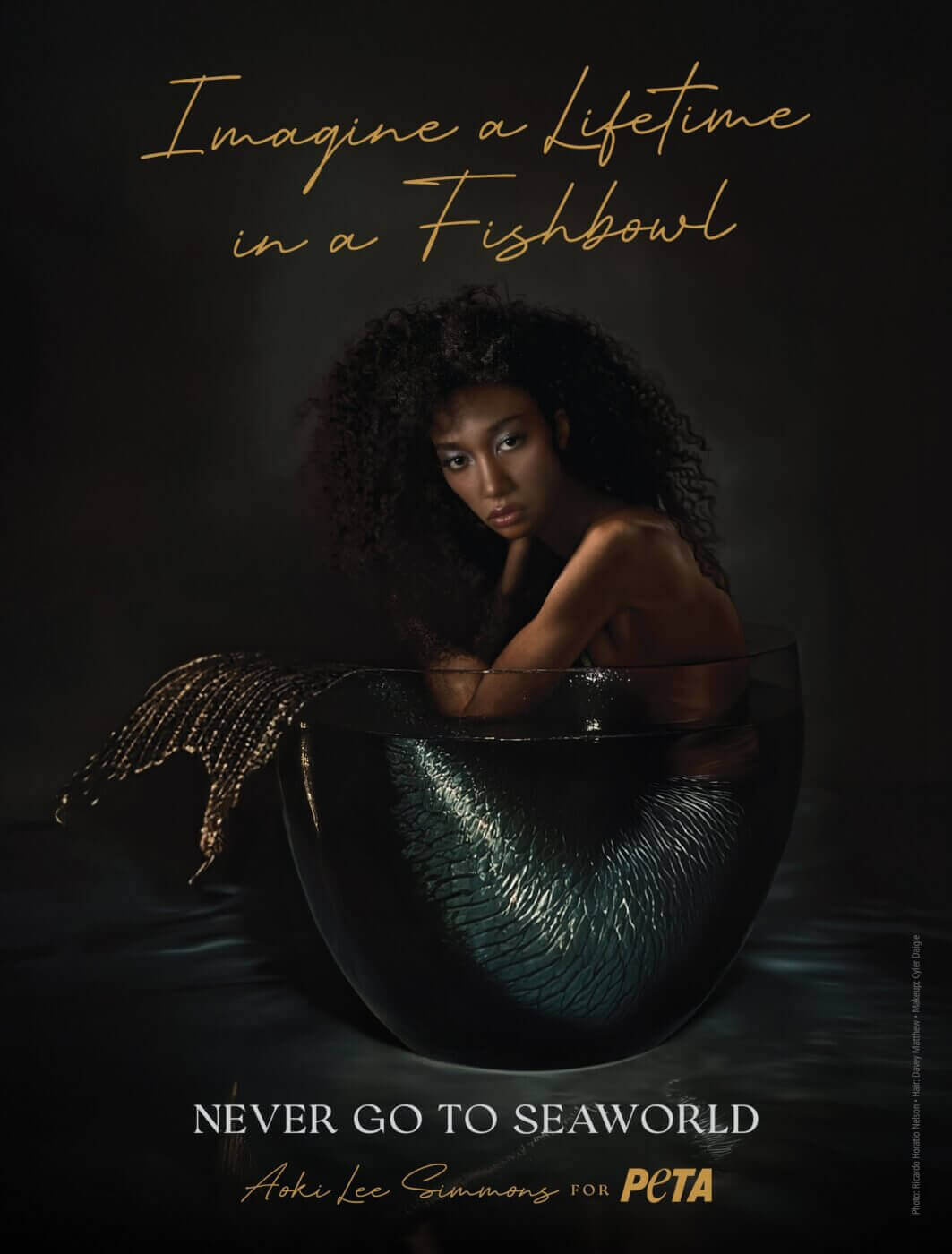 aoki lee simmons peta ad