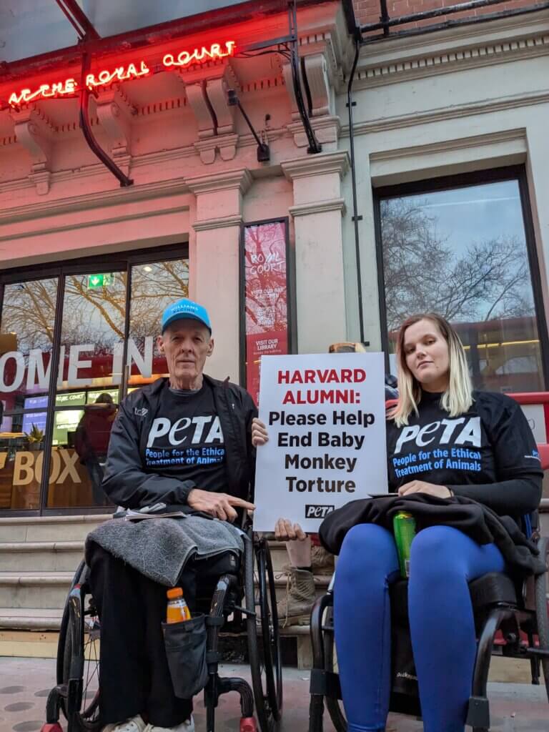 Two activists holding up a sign that says "Harvard Alumni: Please Help End Baby Monkey Torture"