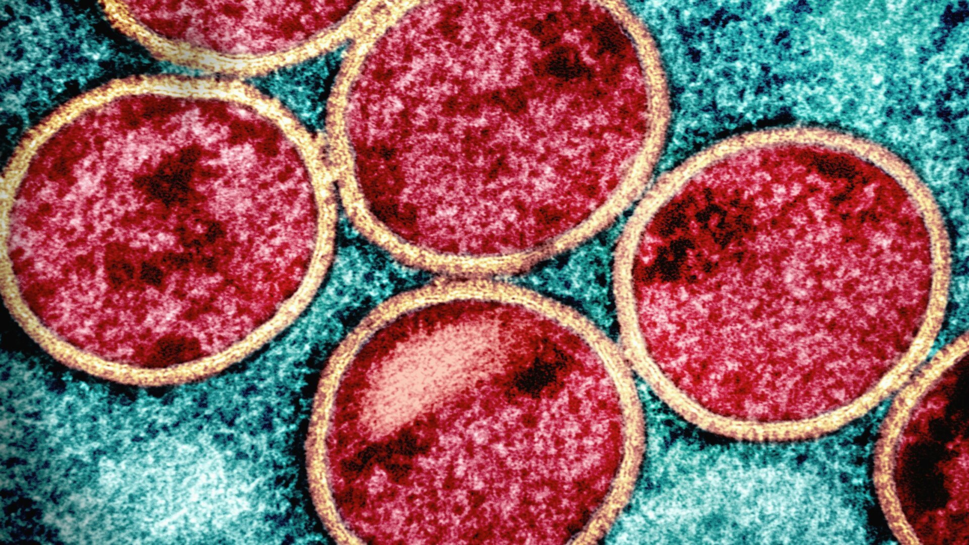 NIH Funds Cruel Foreign Experiments