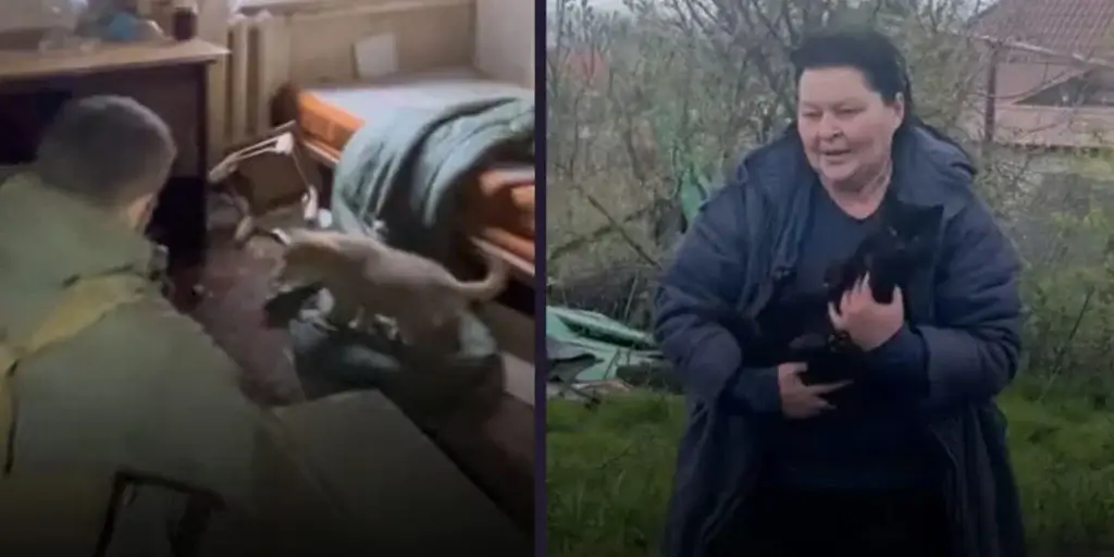 A man rescuing a puppy from a house and a woman carrying a black cat