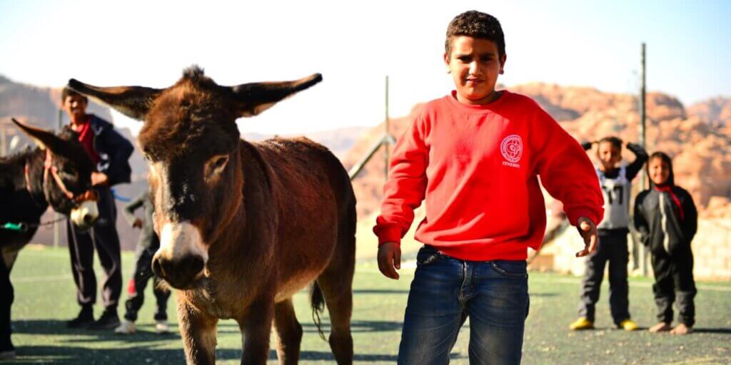 A boy with a donkey