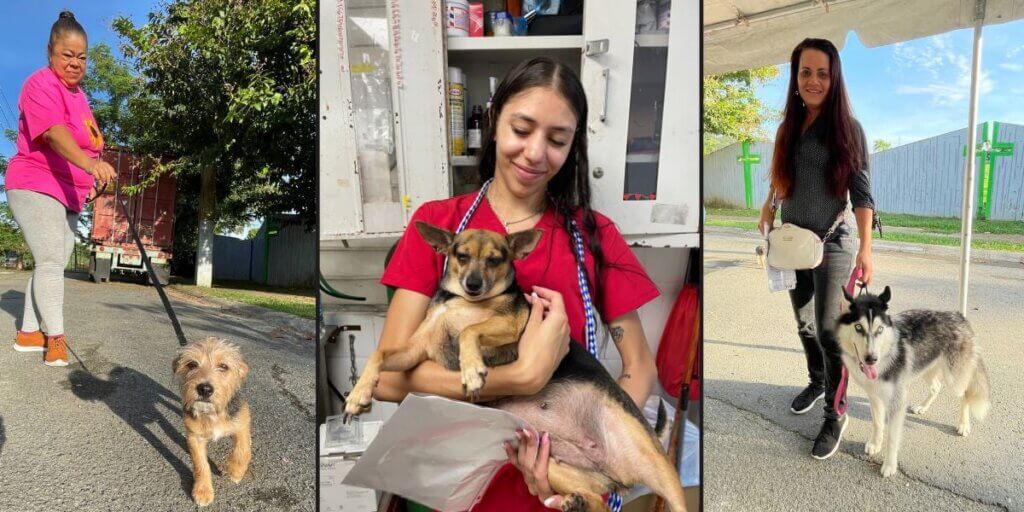 Guardians and vet techs with dogs