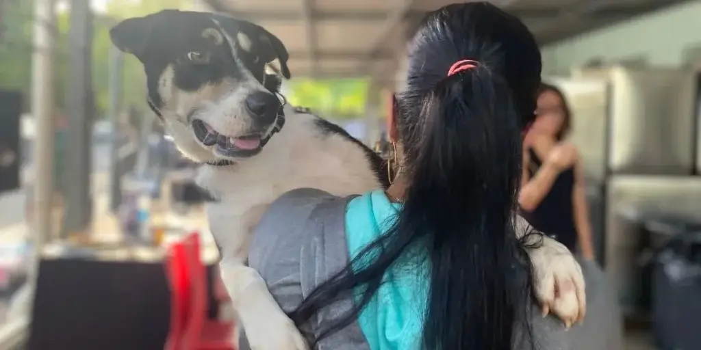 A guardian holding their dog