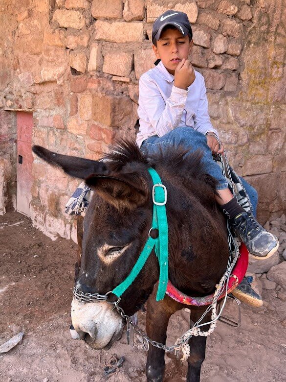 child sitting on donkey in petra jordan