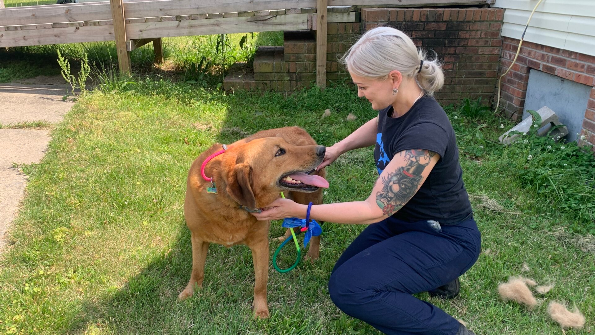 Meet PETA’s Rescue Team and the Animals They Help