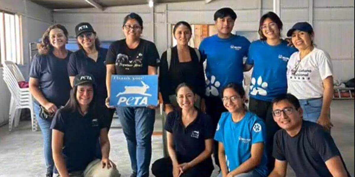 Tackling Peru’s Animal Homelessness Crisis