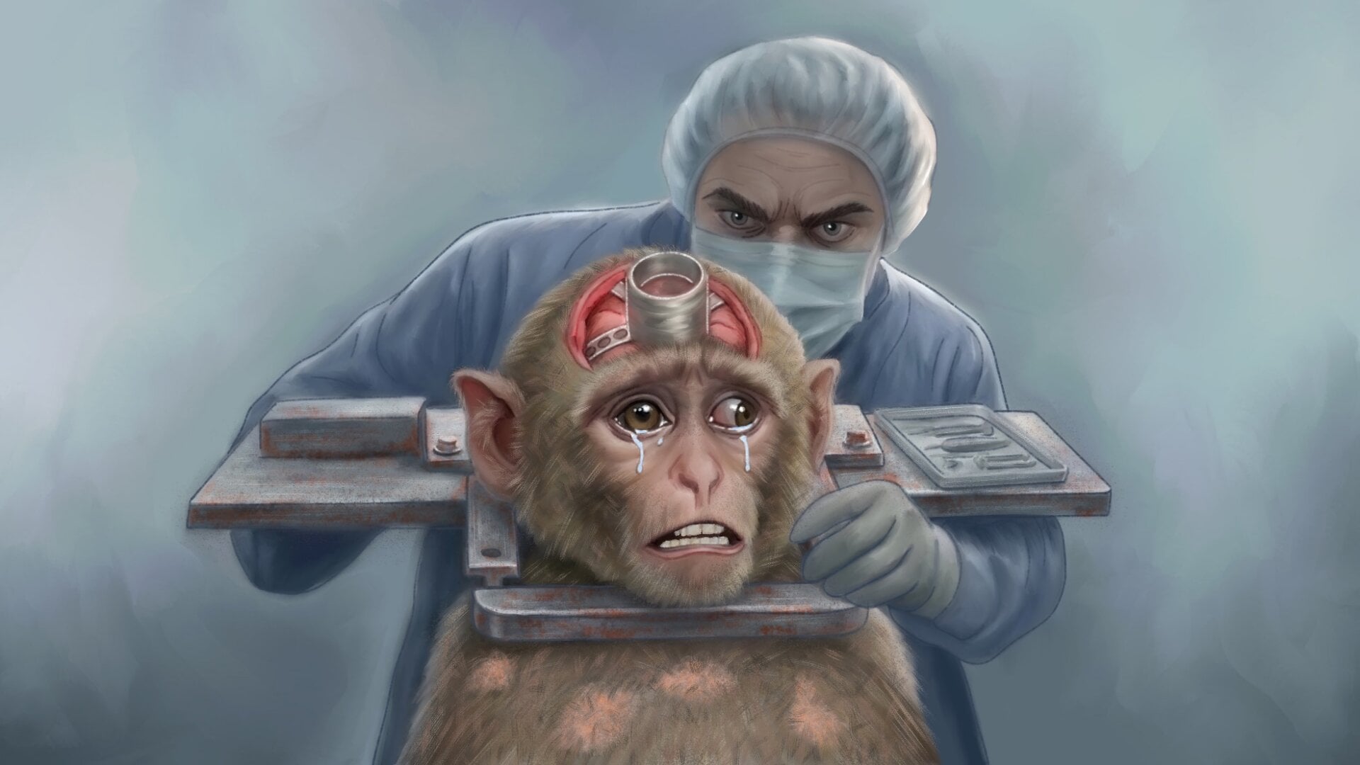 Monkeys Have Screws Drilled Into Their Brains at the University of Minnesota 