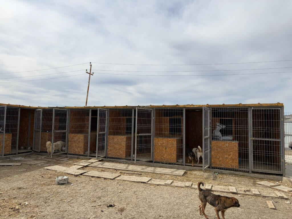 Kennels in the outdoor area