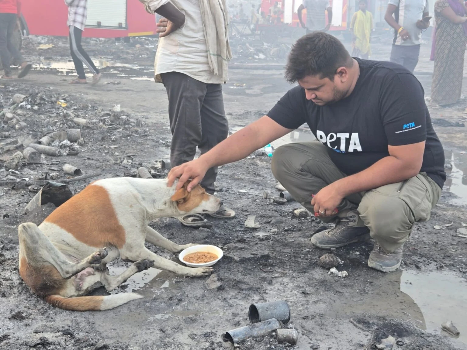 Fire in Ghaziabad: PETA India Rescues Dozens of Animals