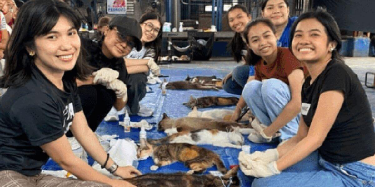 Game-Changer: How Basketball Courts Are Helping Animals