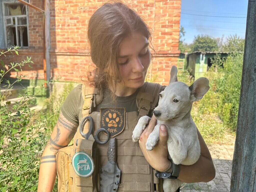 Rescuer holding puppy
