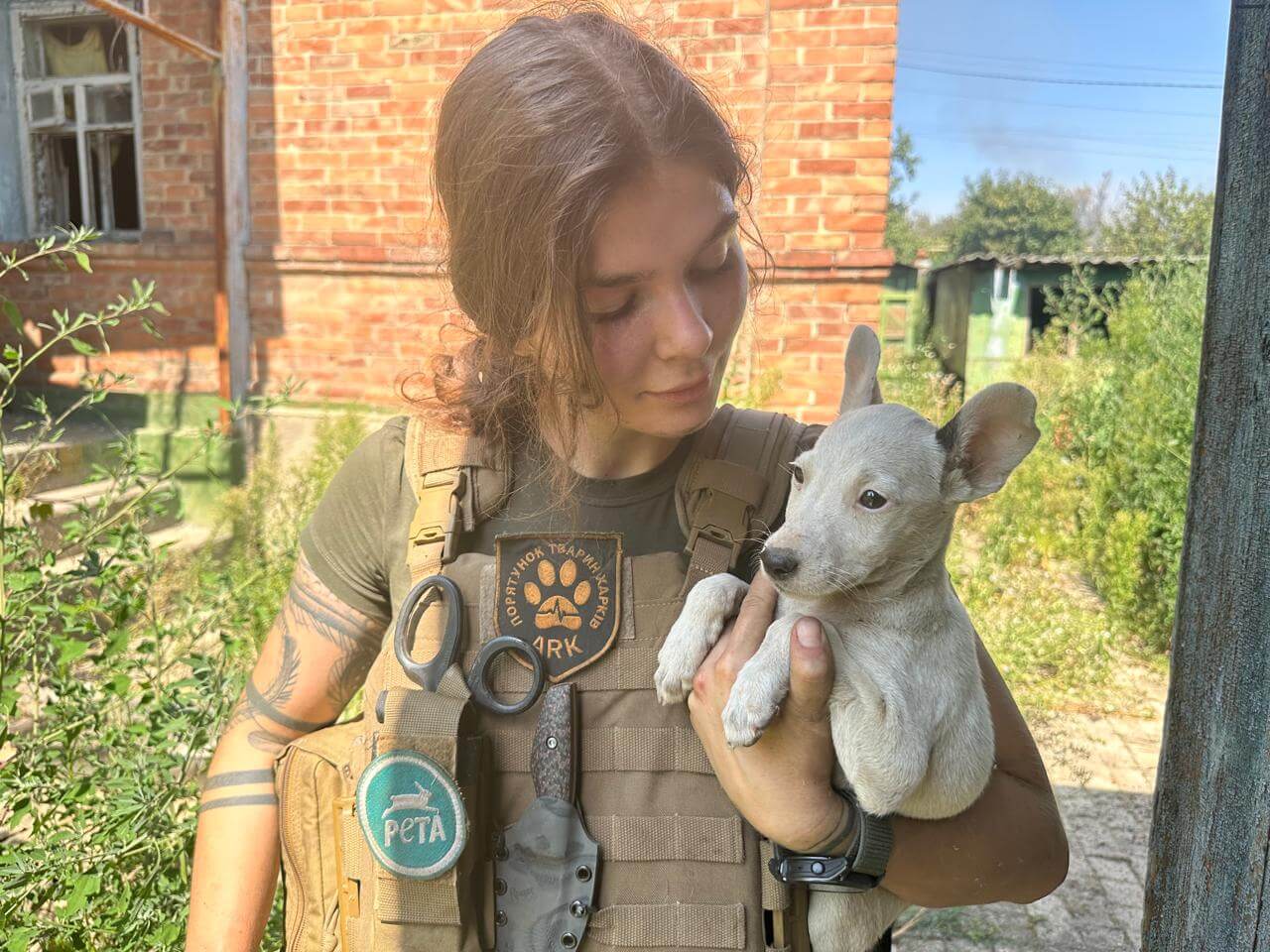 Animal Victims of War—and the Woman Risking It All for Them