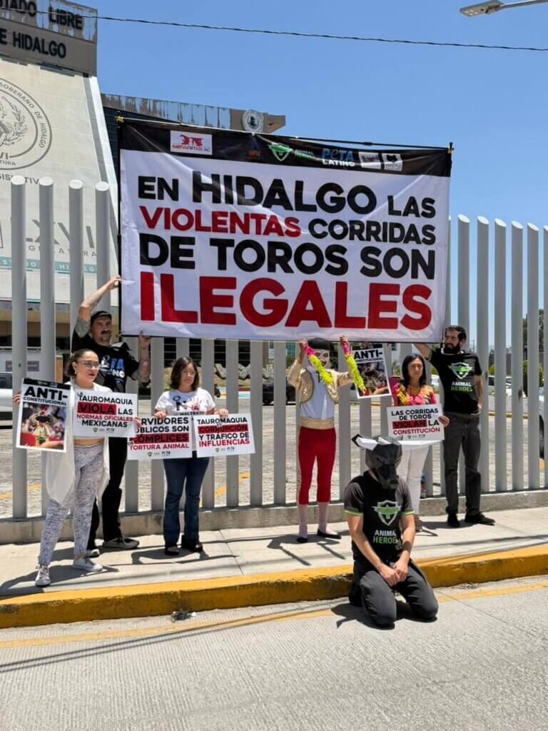 PETA Latino and Animal Heroes supporters demonstrate outside the State Congress of Hidalgo and deliver a letter to the government offices