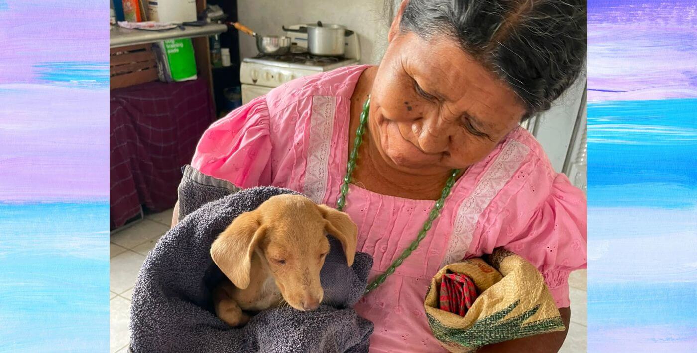 Changing Lives in Guatemala, One Snip at a Time - PETA Headlines