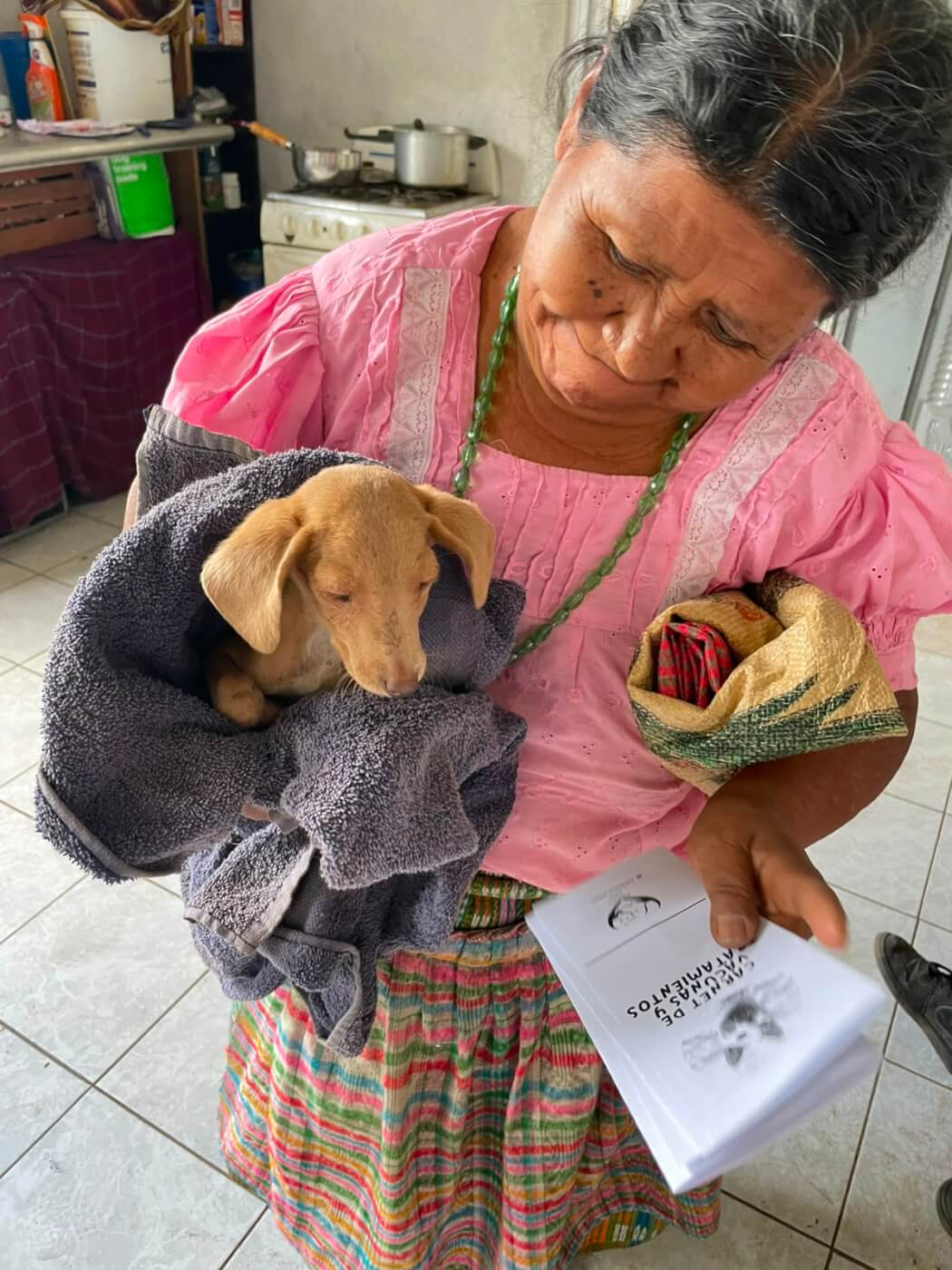 Woman holding dog in towel